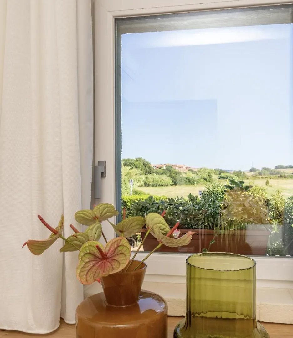 Scarlea Rooms Cecina  Guest house